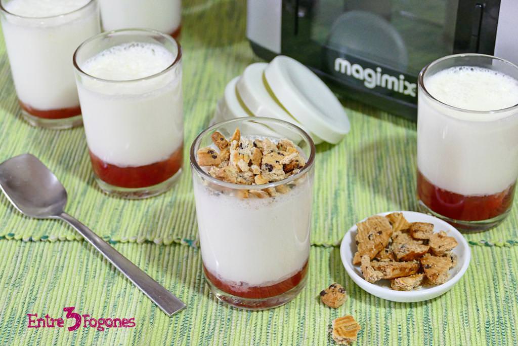 Yogur Griego Natural con Cook Expert Magimix Yogur Griego Natural con Cook Expert Magimix