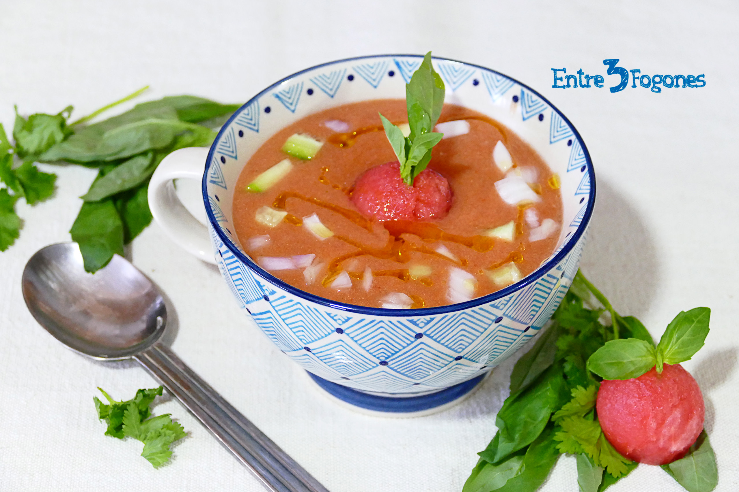 Gazpacho de Sandía Thermomix