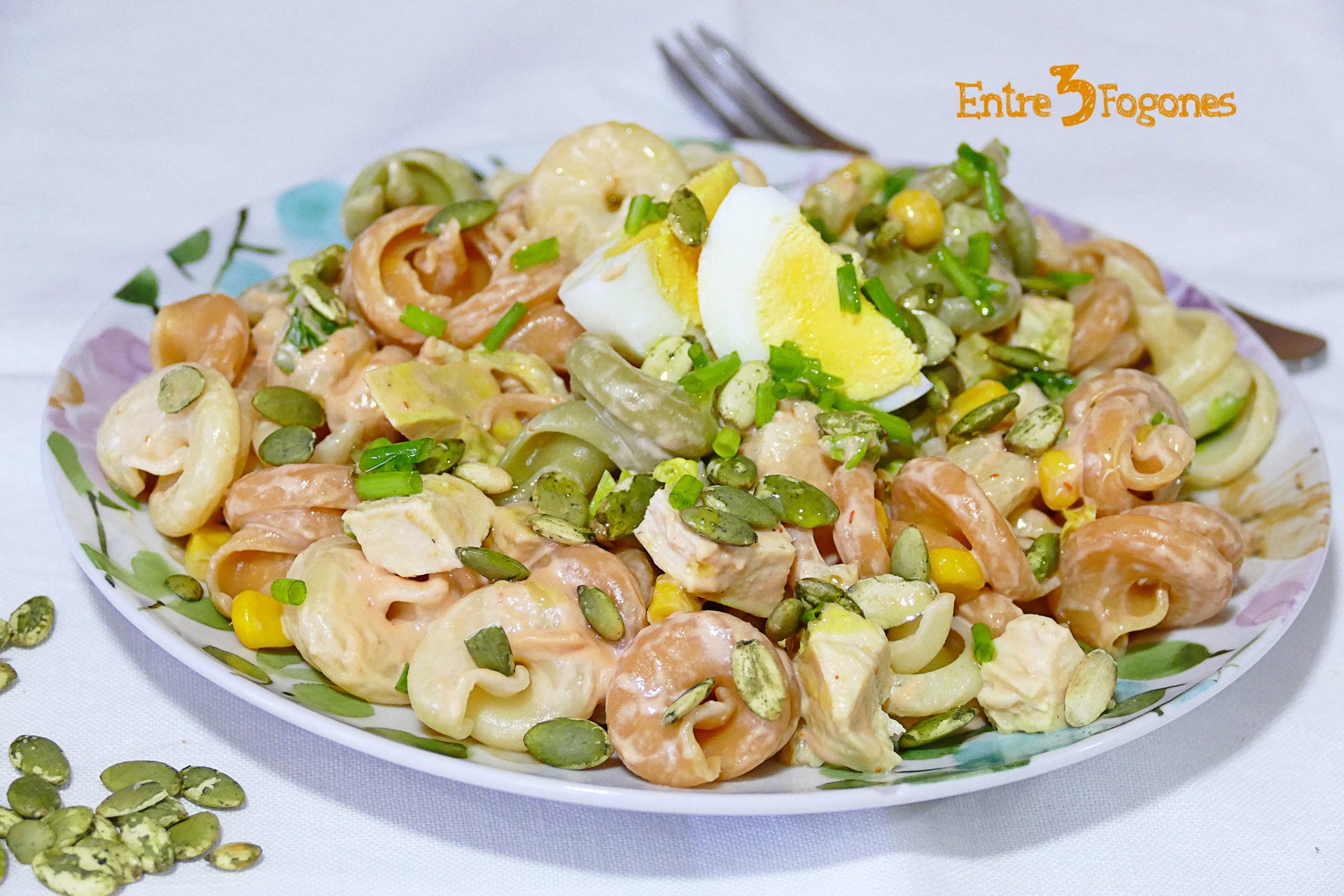 Ensalada de Pasta de Colores con Pollo en Escabeche Ensalada de Pasta de Colores con Pollo en Escabeche