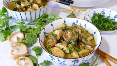 Pollo en Salsa con Setas Shiitake