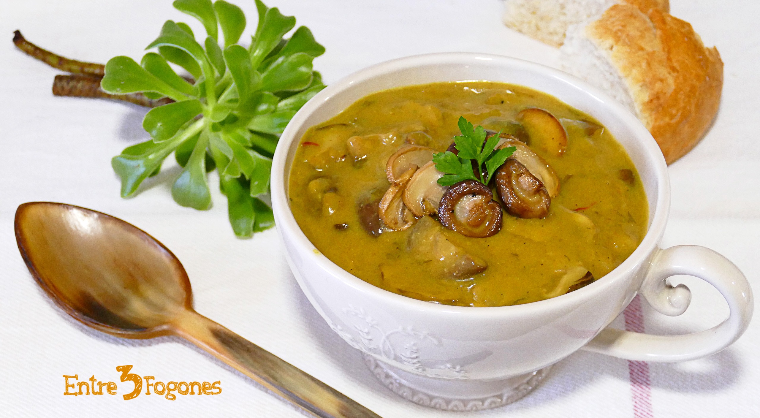 Salsa de Setas sin Nata para Carnes