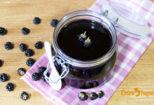 Jalea de Moras Silvestres con Thermomix