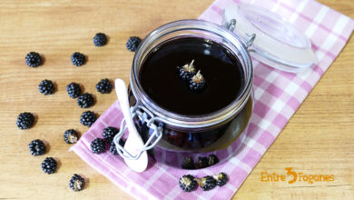 Jalea de Moras Silvestres con Thermomix