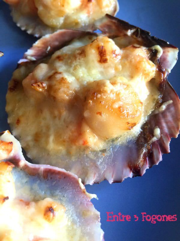Receta Zamburiñas con Gambón Rojo